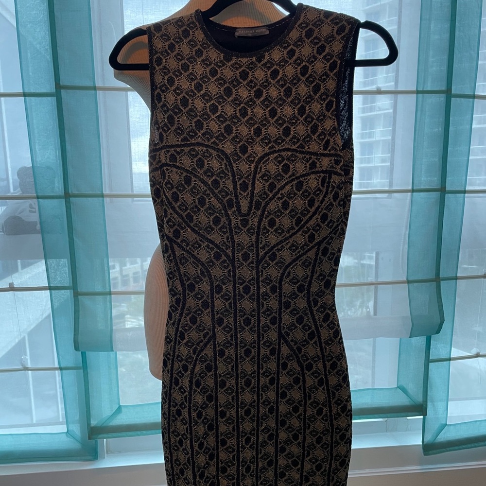 Alexander McQueen sparkle dress